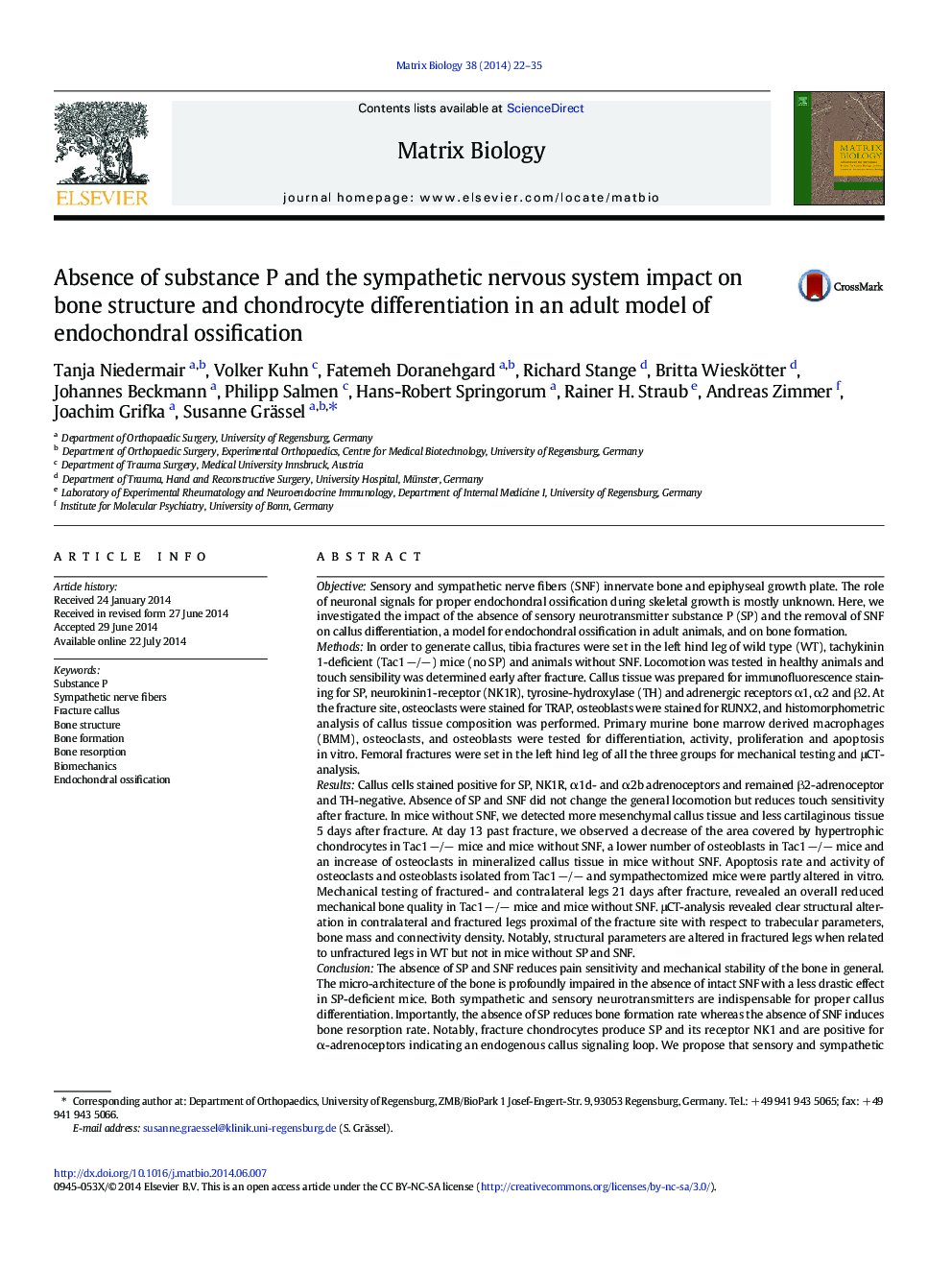 Absence of substance P and the sympathetic nervous system impact on bone structure and chondrocyte differentiation in an adult model of endochondral ossification