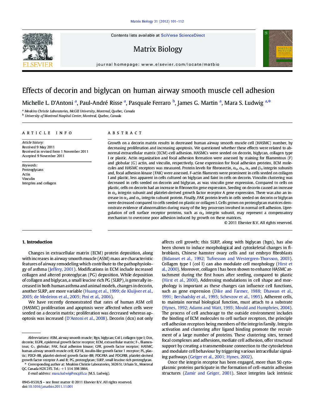 Effects of decorin and biglycan on human airway smooth muscle cell adhesion