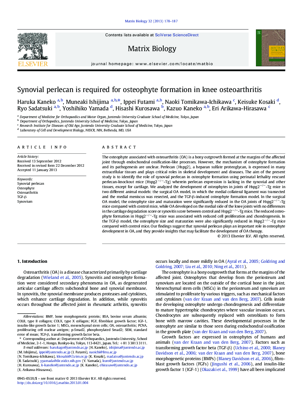 Synovial perlecan is required for osteophyte formation in knee osteoarthritis