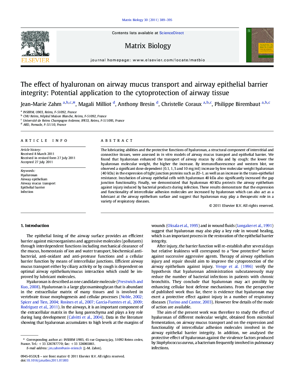 The effect of hyaluronan on airway mucus transport and airway epithelial barrier integrity: Potential application to the cytoprotection of airway tissue