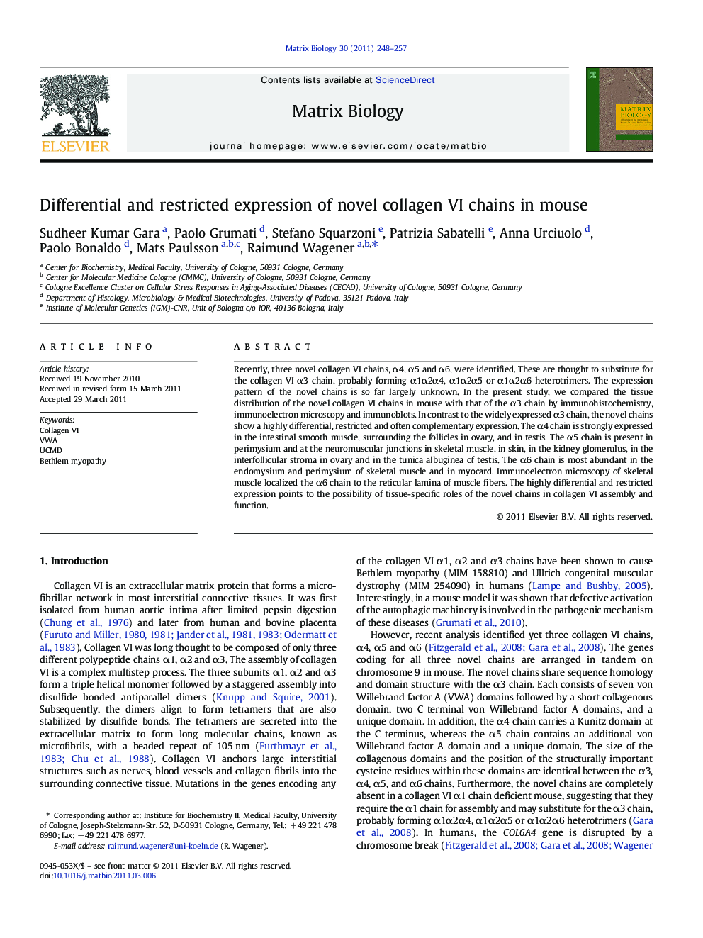 Differential and restricted expression of novel collagen VI chains in mouse