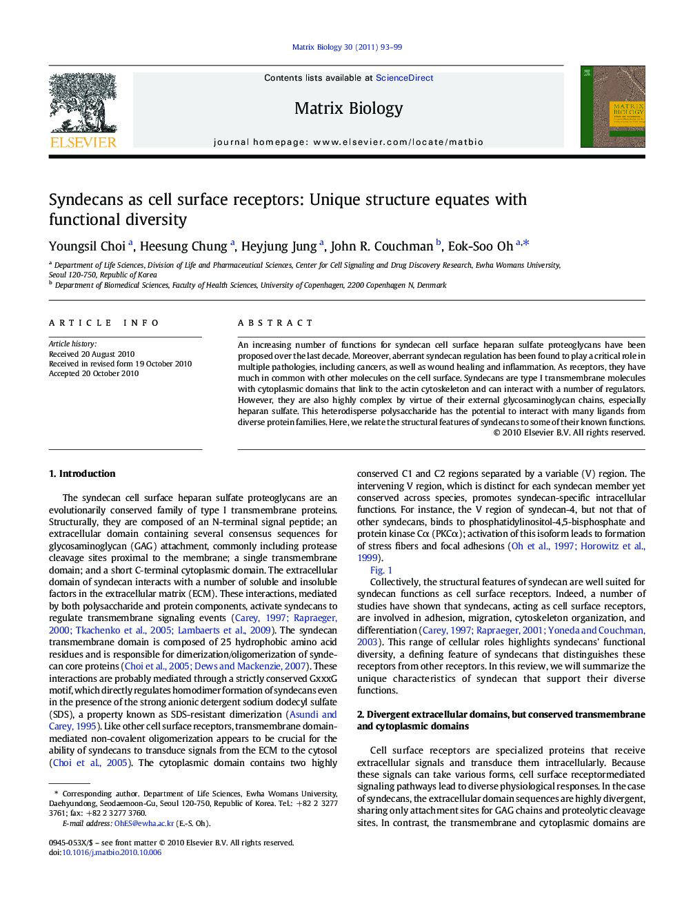 Syndecans as cell surface receptors: Unique structure equates with functional diversity