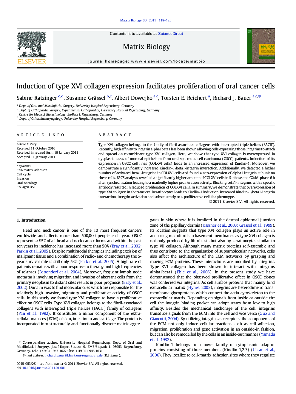 Induction of type XVI collagen expression facilitates proliferation of oral cancer cells