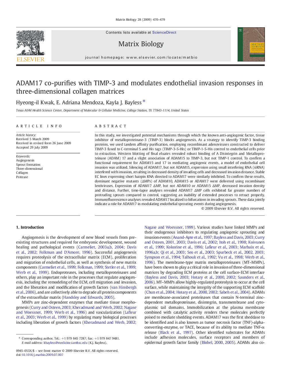 ADAM17 co-purifies with TIMP-3 and modulates endothelial invasion responses in three-dimensional collagen matrices