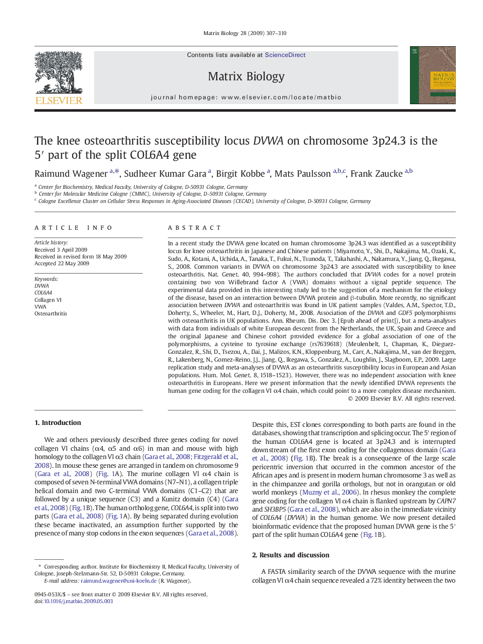 The knee osteoarthritis susceptibility locus DVWA on chromosome 3p24.3 is the 5′ part of the split COL6A4 gene