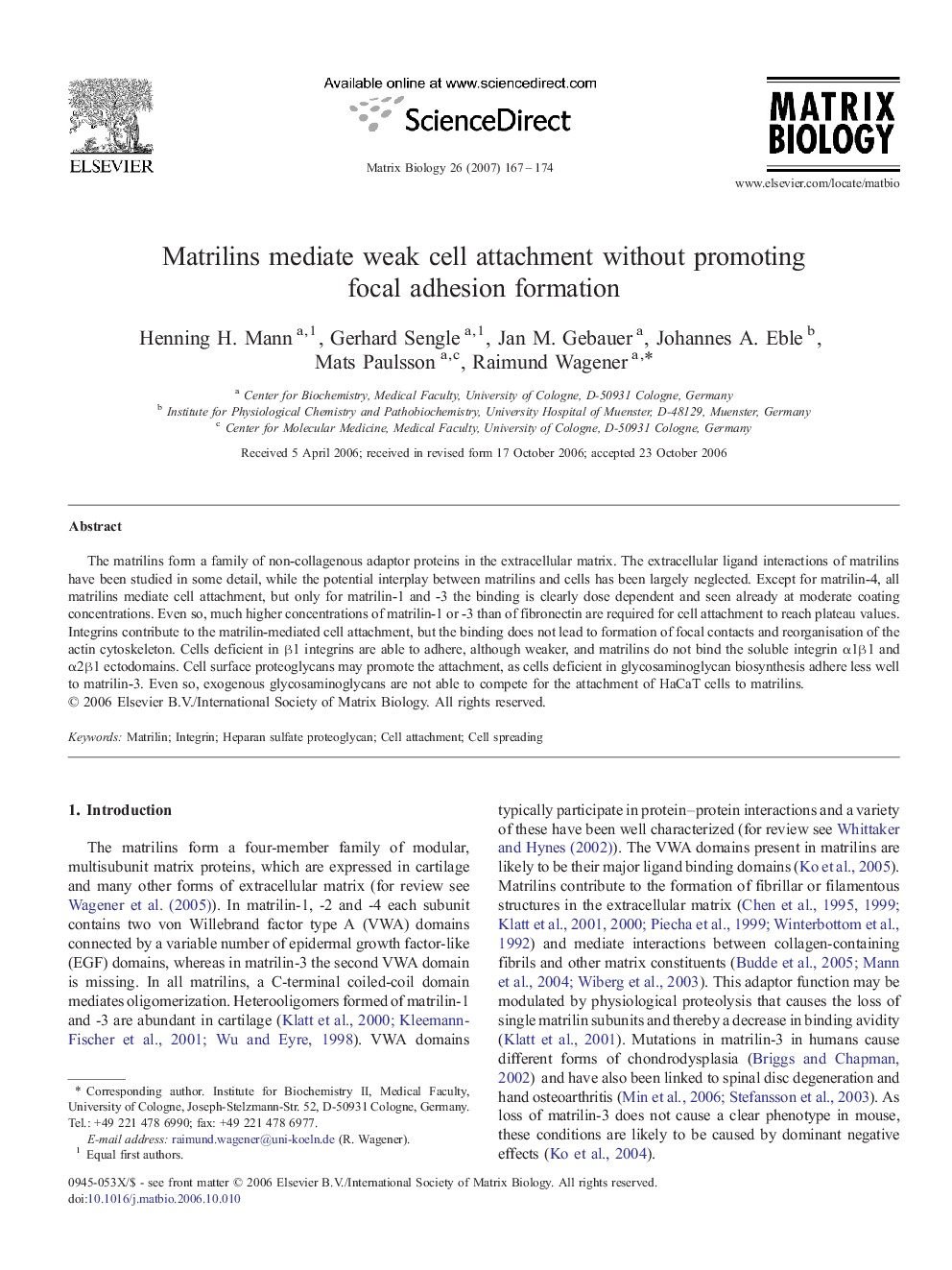 Matrilins mediate weak cell attachment without promoting focal adhesion formation