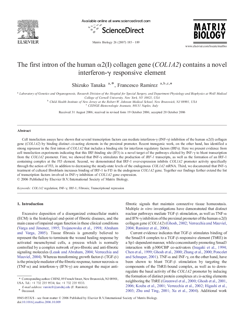 The first intron of the human α2(I) collagen gene (COL1A2) contains a novel interferon-γ responsive element