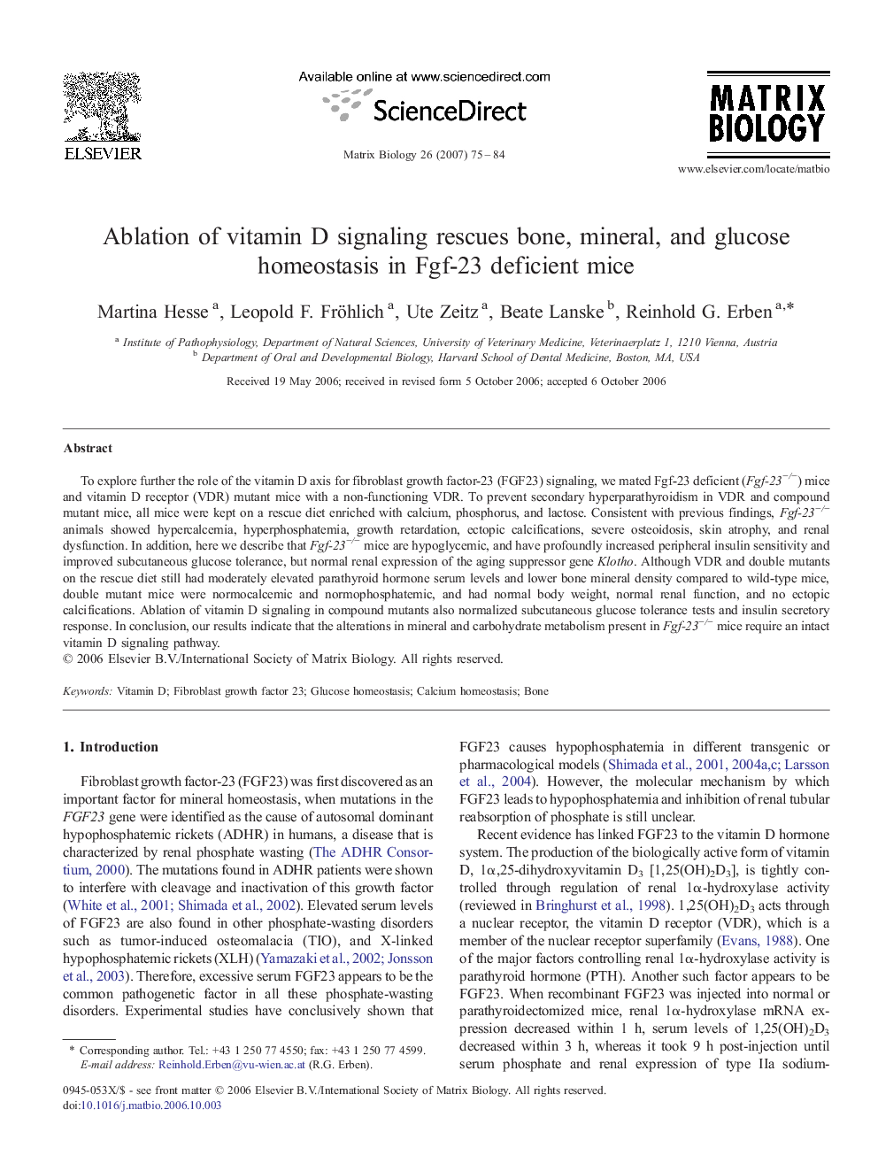 Ablation of vitamin D signaling rescues bone, mineral, and glucose homeostasis in Fgf-23 deficient mice