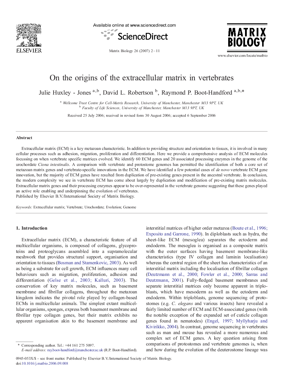 On the origins of the extracellular matrix in vertebrates