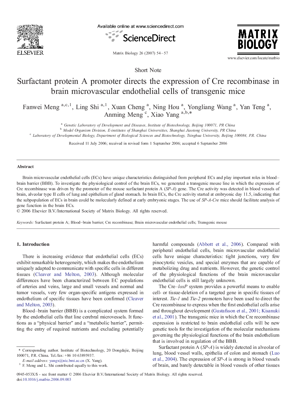 Surfactant protein A promoter directs the expression of Cre recombinase in brain microvascular endothelial cells of transgenic mice