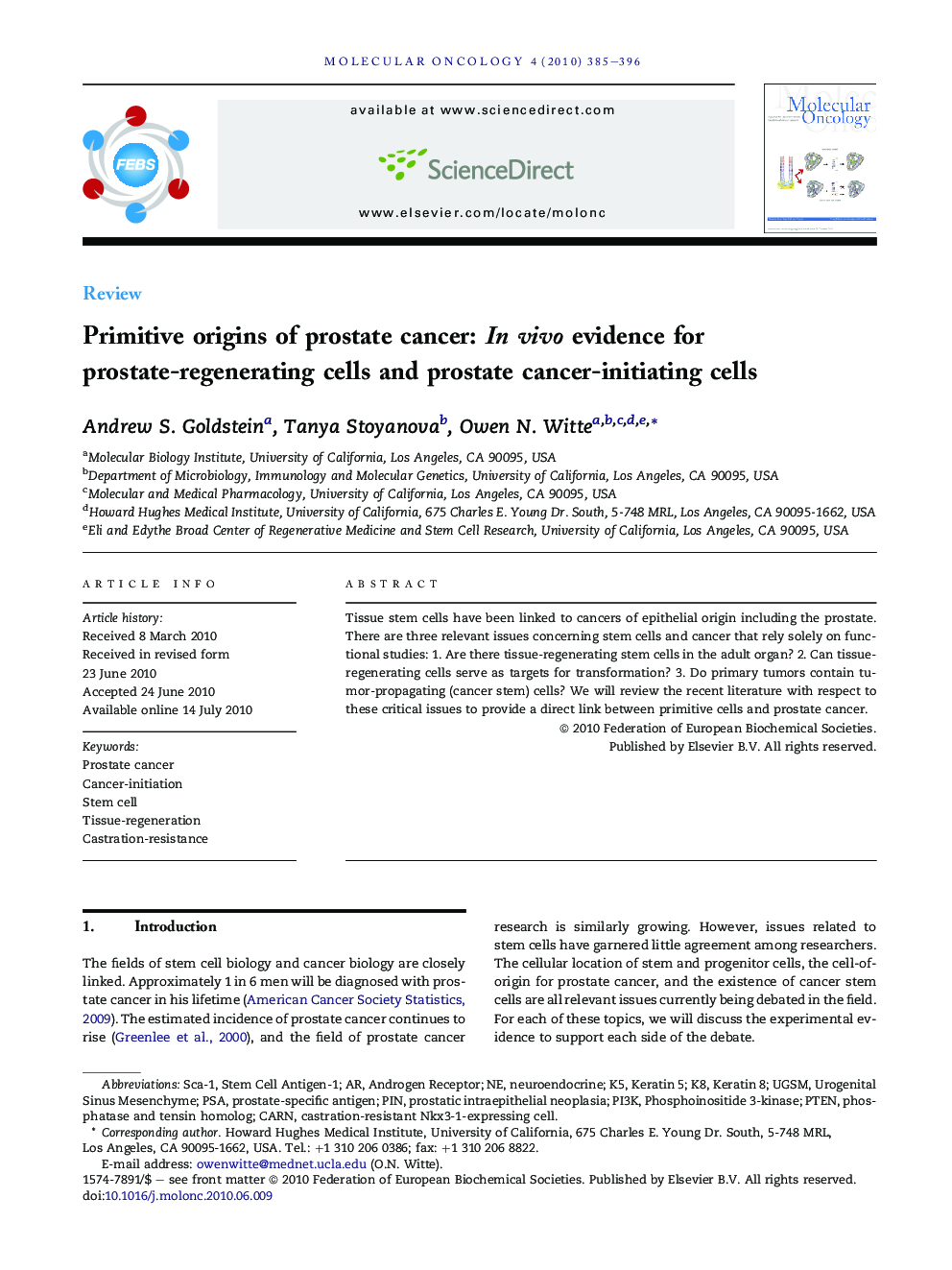 Primitive origins of prostate cancer: In vivo evidence for prostate-regenerating cells and prostate cancer-initiating cells
