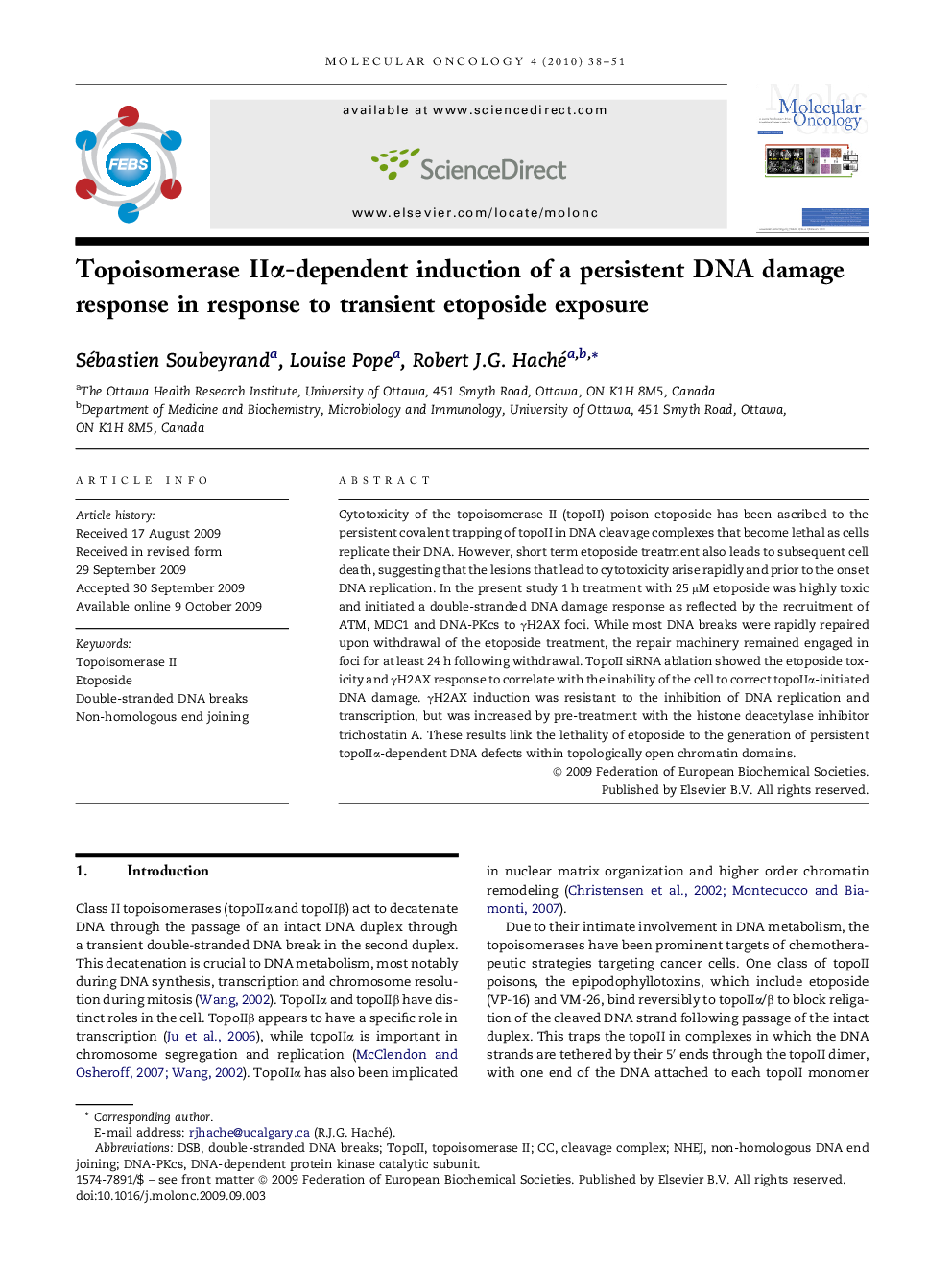 Topoisomerase IIα-dependent induction of a persistent DNA damage response in response to transient etoposide exposure