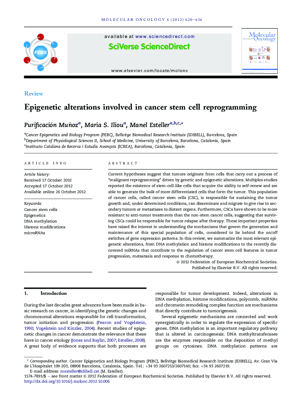 Epigenetic alterations involved in cancer stem cell reprogramming