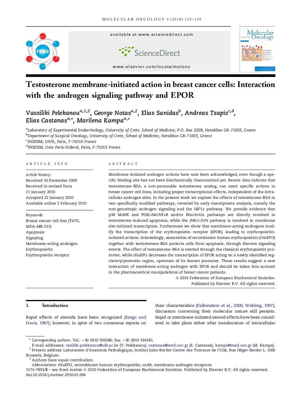 Testosterone membrane-initiated action in breast cancer cells: Interaction with the androgen signaling pathway and EPOR