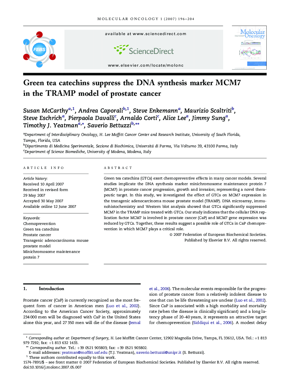 Green tea catechins suppress the DNA synthesis marker MCM7 in the TRAMP model of prostate cancer
