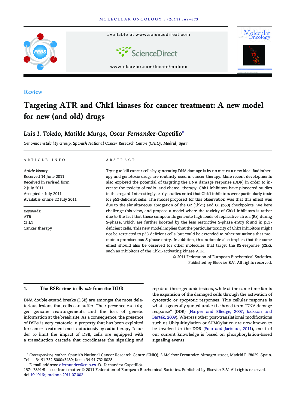 Targeting ATR and Chk1 kinases for cancer treatment: A new model for new (and old) drugs
