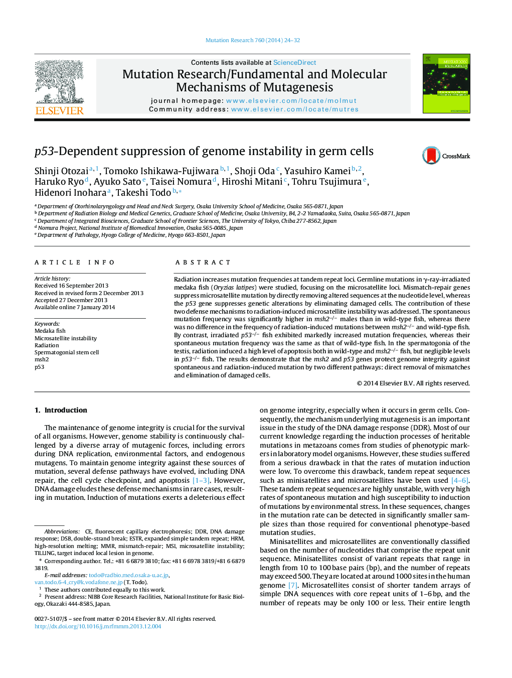 p53-Dependent suppression of genome instability in germ cells