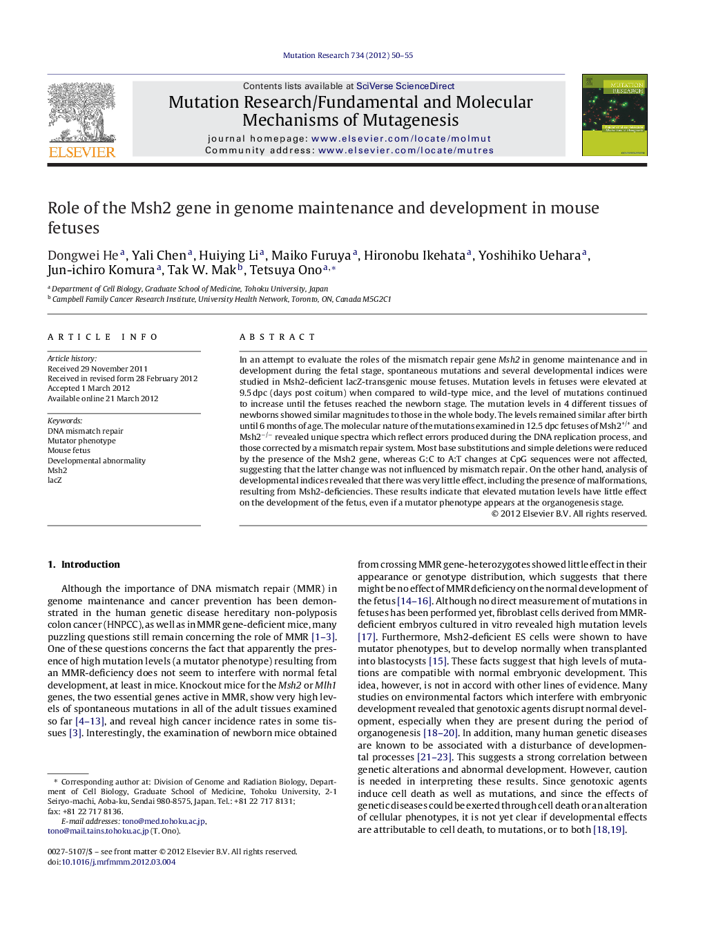 Role of the Msh2 gene in genome maintenance and development in mouse fetuses