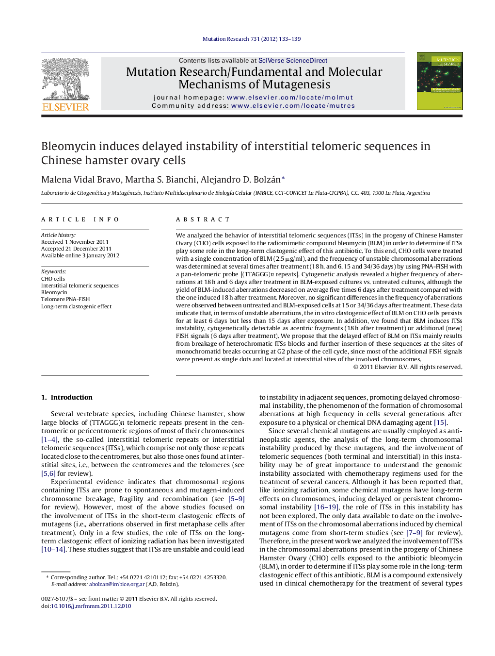 Bleomycin induces delayed instability of interstitial telomeric sequences in Chinese hamster ovary cells