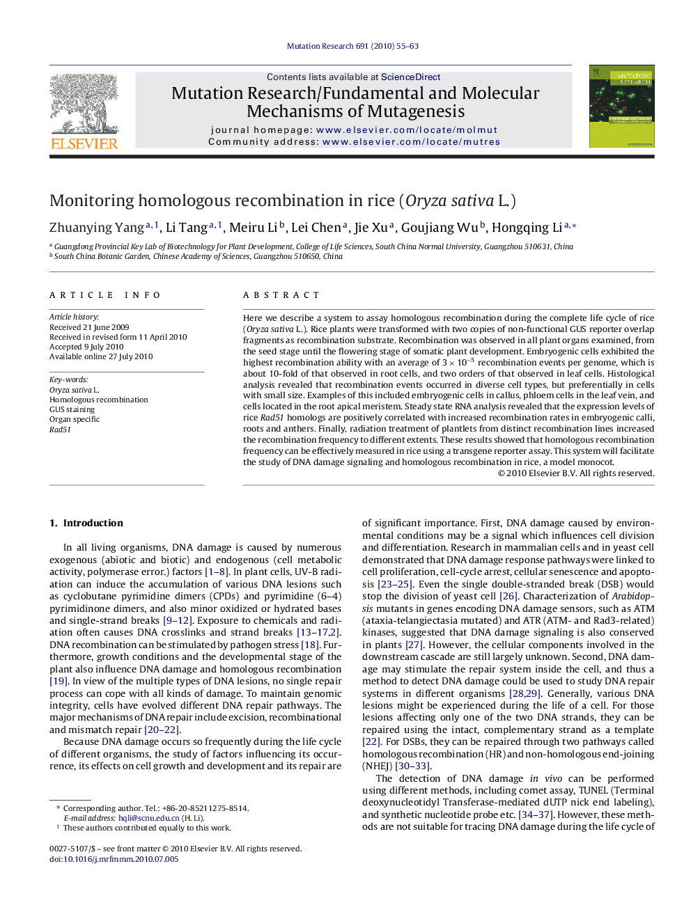 Monitoring homologous recombination in rice (Oryza sativa L.)