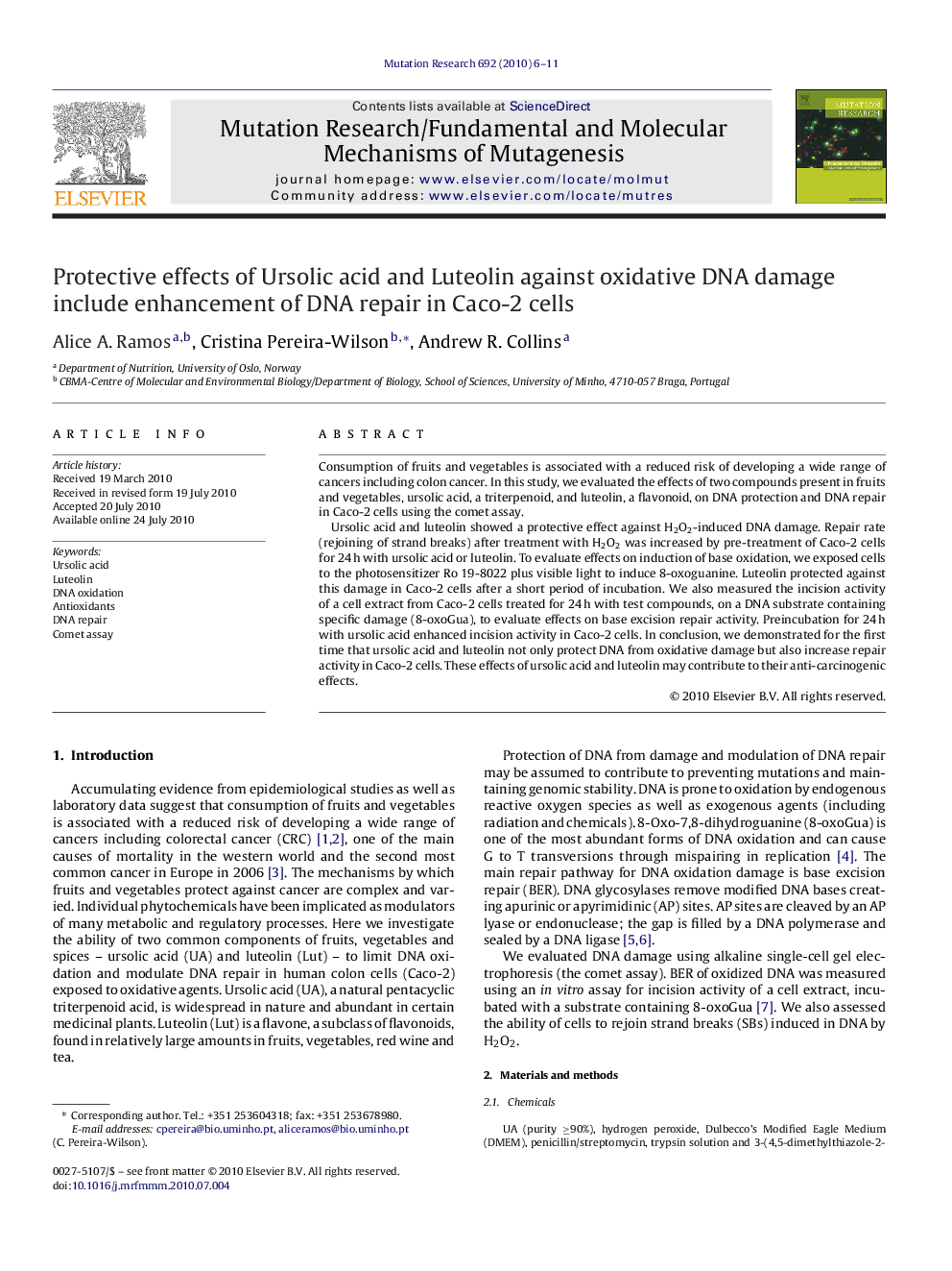 Protective effects of Ursolic acid and Luteolin against oxidative DNA damage include enhancement of DNA repair in Caco-2 cells