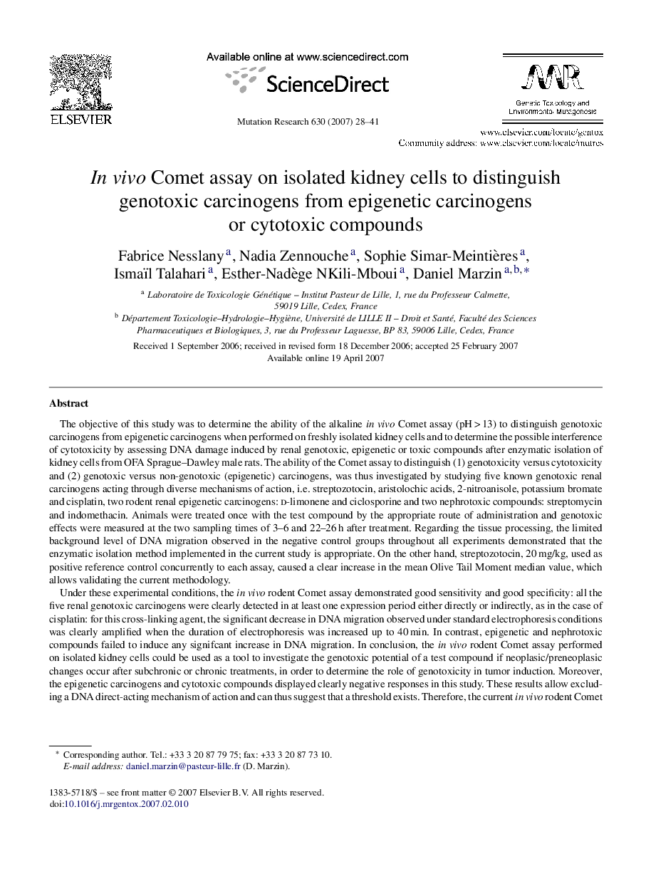 In vivo Comet assay on isolated kidney cells to distinguish genotoxic carcinogens from epigenetic carcinogens or cytotoxic compounds