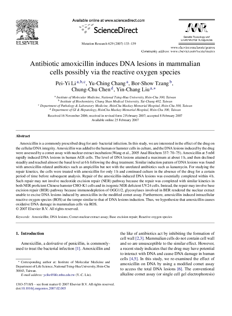 Antibiotic amoxicillin induces DNA lesions in mammalian cells possibly via the reactive oxygen species