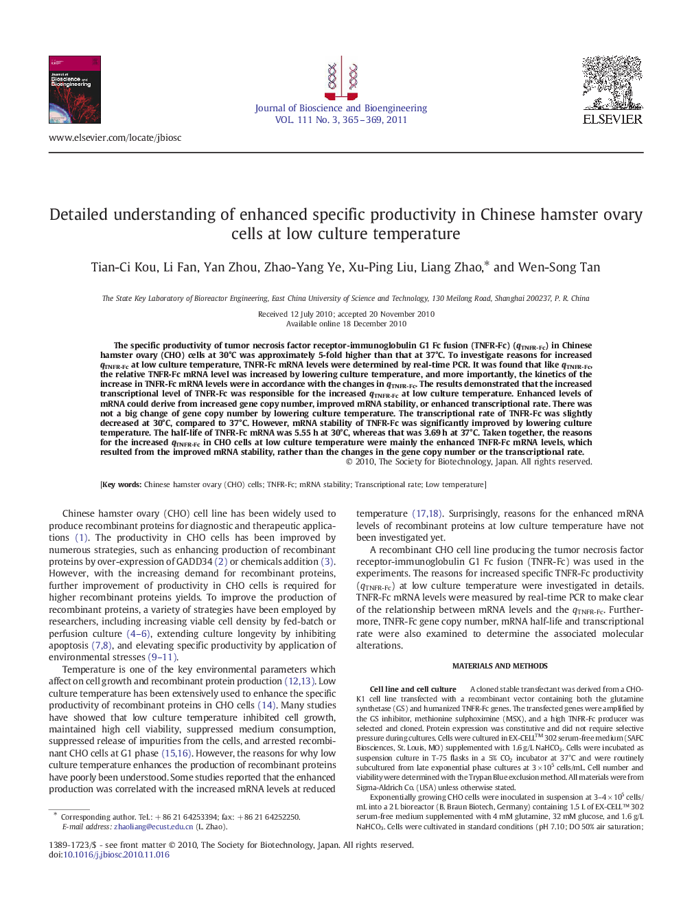 Detailed understanding of enhanced specific productivity in Chinese hamster ovary cells at low culture temperature