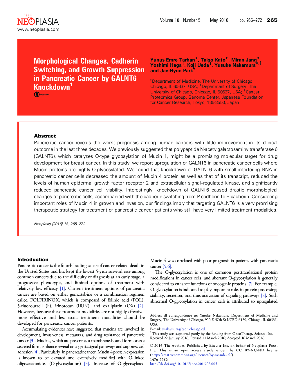 Morphological Changes, Cadherin Switching, and Growth Suppression in Pancreatic Cancer by GALNT6 Knockdown 1