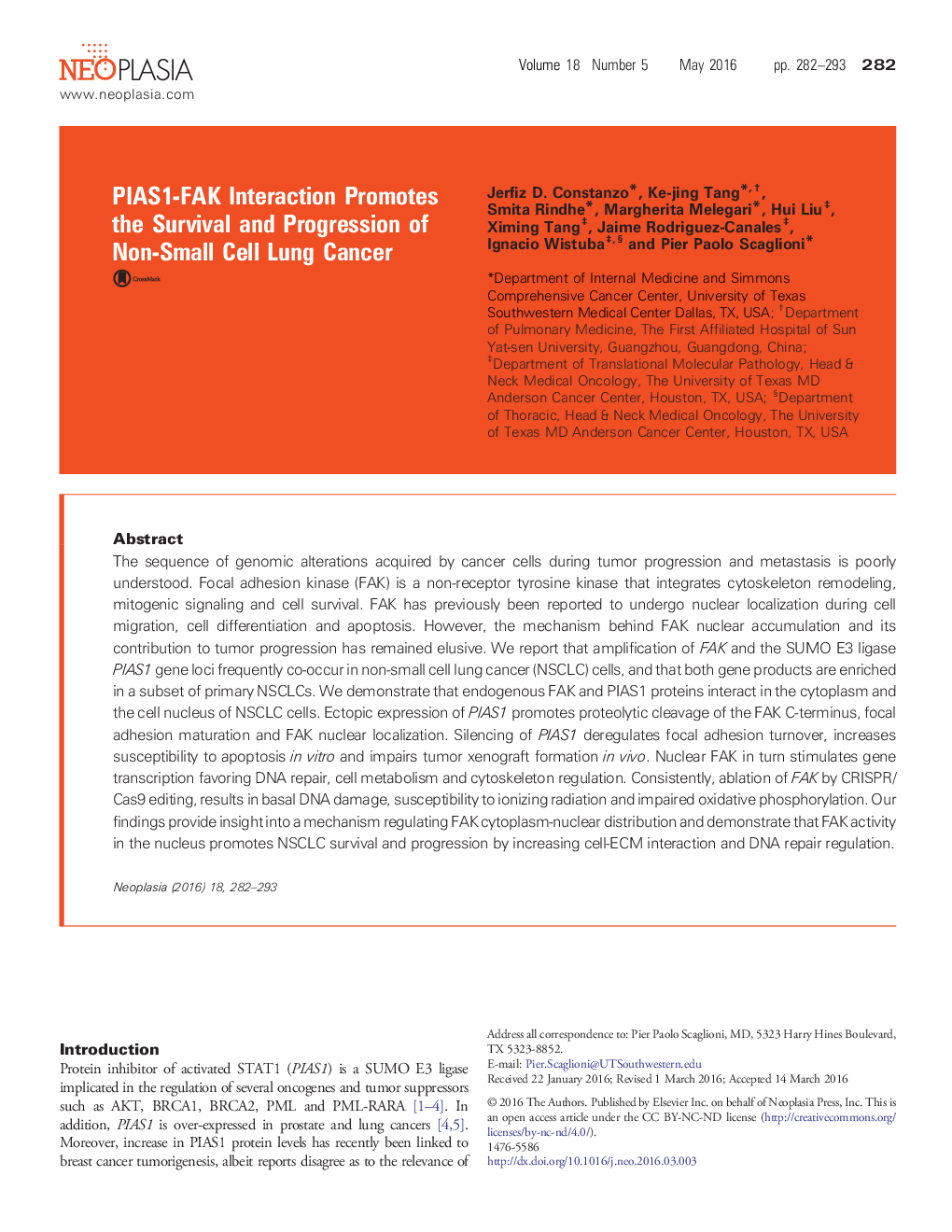 PIAS1-FAK Interaction Promotes the Survival and Progression of Non-Small Cell Lung Cancer
