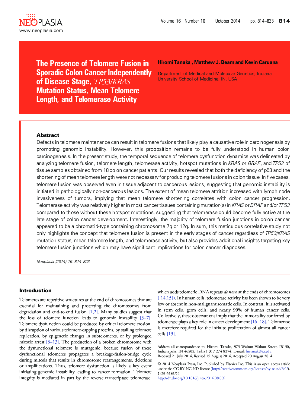The Presence of Telomere Fusion in Sporadic Colon Cancer Independently of Disease Stage, TP53/KRAS Mutation Status, Mean Telomere Length, and Telomerase Activity
