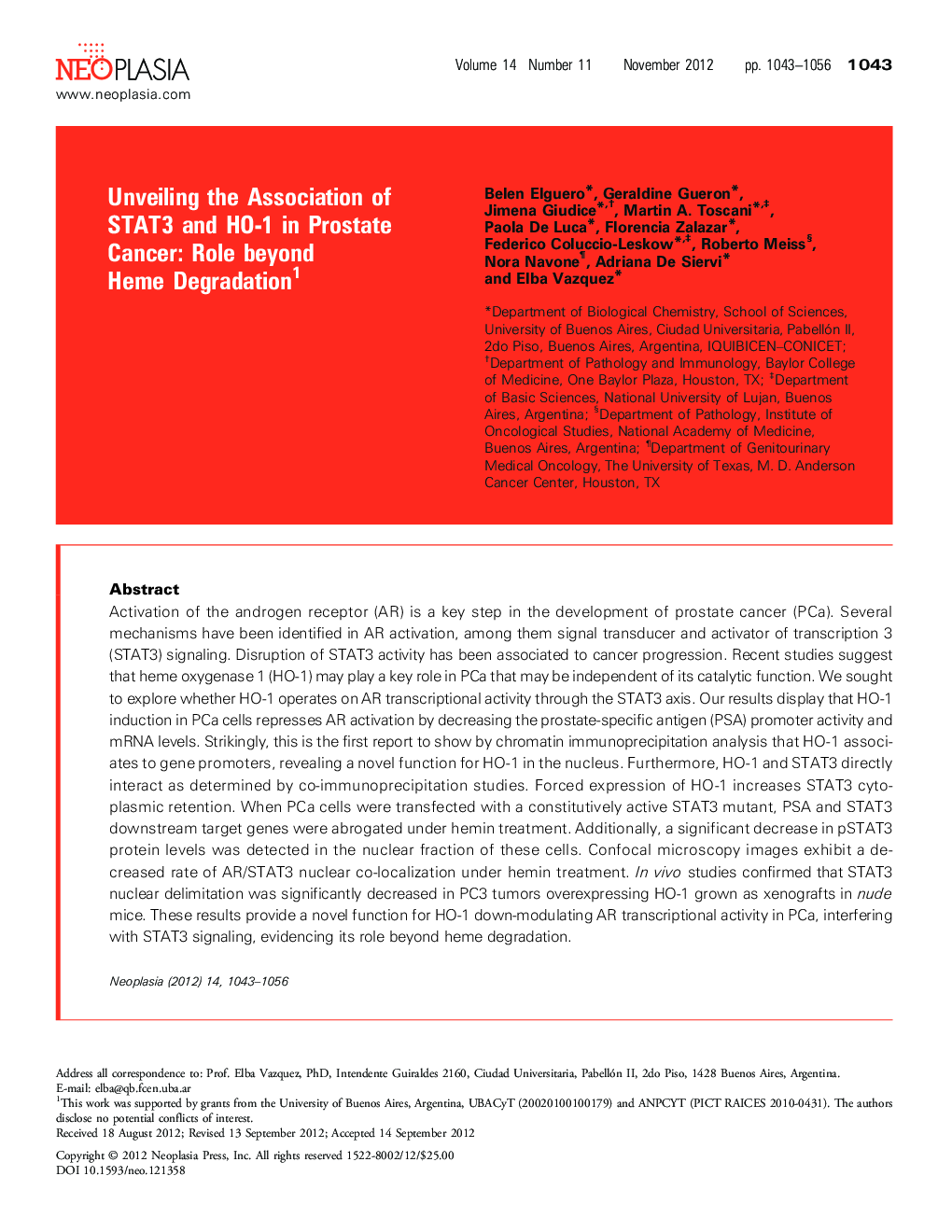 Unveiling the Association of STAT3 and HO-1 in Prostate Cancer: Role beyond Heme Degradation 