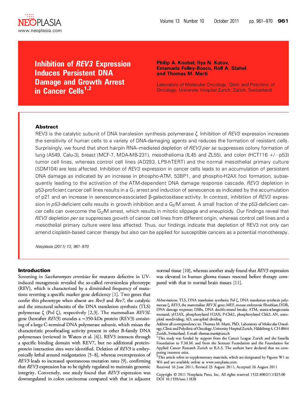 Inhibition of REV3 Expression Induces Persistent DNA Damage and Growth Arrest in Cancer Cells