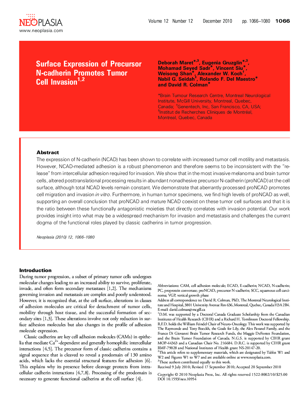 Surface Expression of Precursor N-cadherin Promotes Tumor Cell Invasion