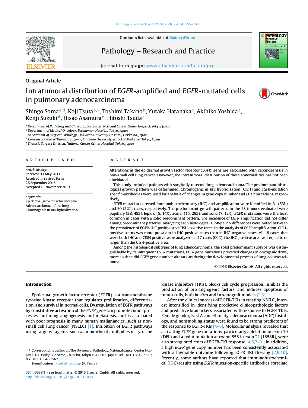 Intratumoral distribution of EGFR-amplified and EGFR-mutated cells in pulmonary adenocarcinoma