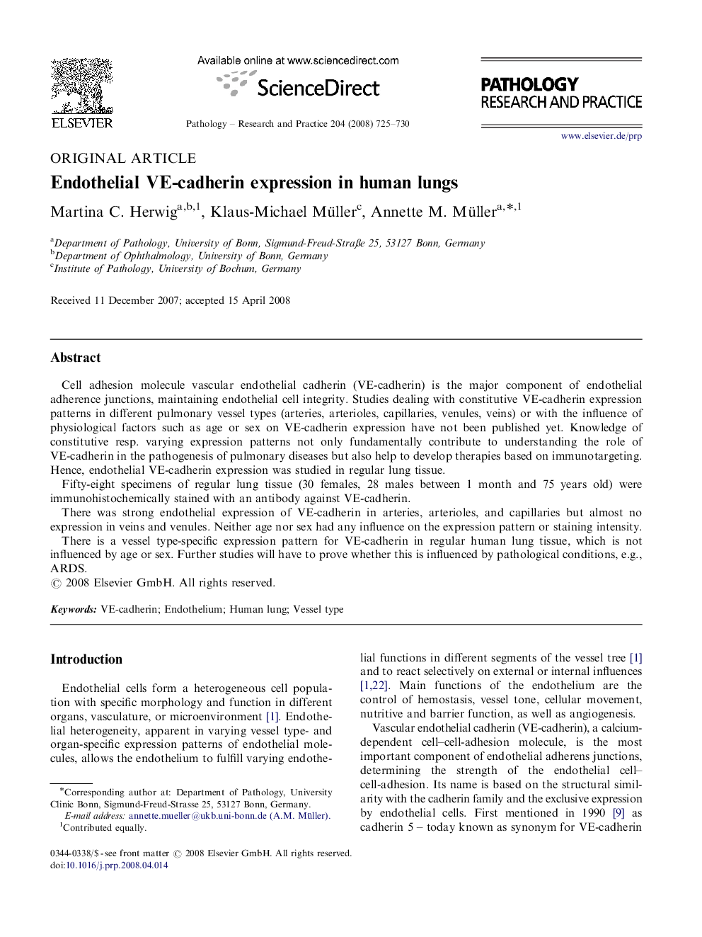 Endothelial VE-cadherin expression in human lungs