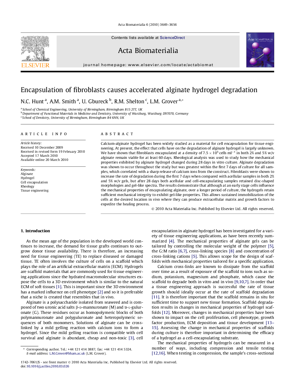 Encapsulation of fibroblasts causes accelerated alginate hydrogel degradation