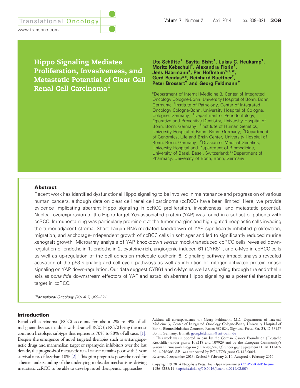 Hippo Signaling Mediates Proliferation, Invasiveness, and Metastatic Potential of Clear Cell Renal Cell Carcinoma 1