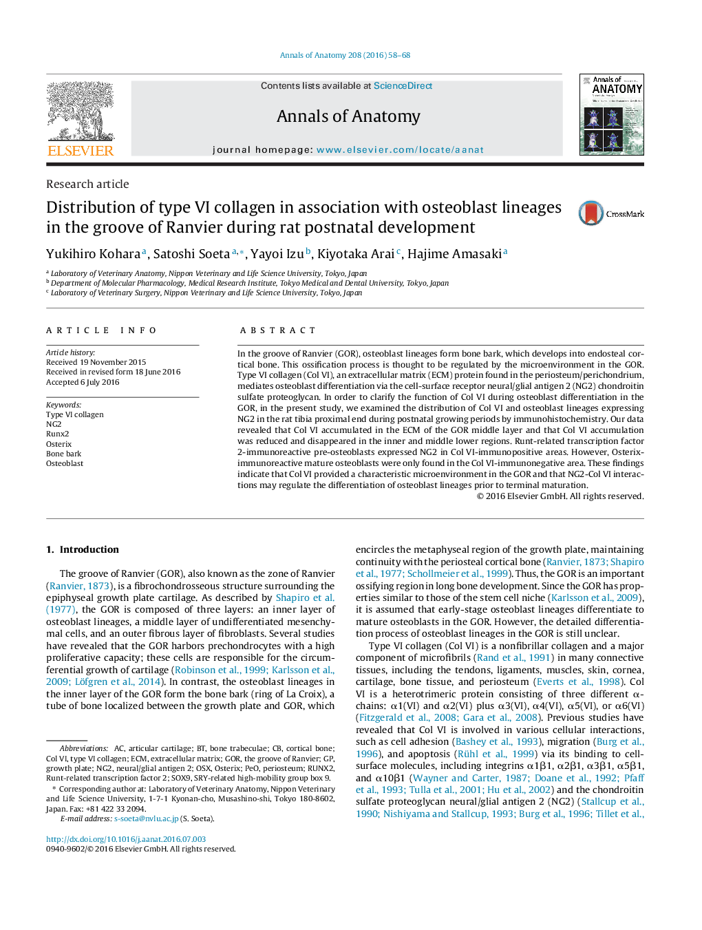 Distribution of type VI collagen in association with osteoblast lineages in the groove of Ranvier during rat postnatal development