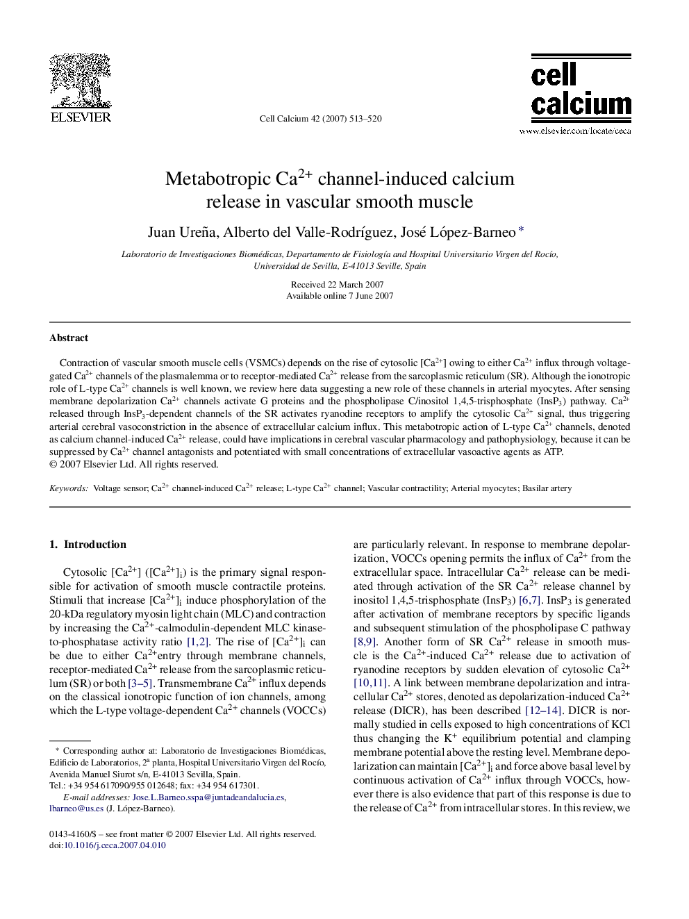 Metabotropic Ca2+ channel-induced calcium release in vascular smooth muscle