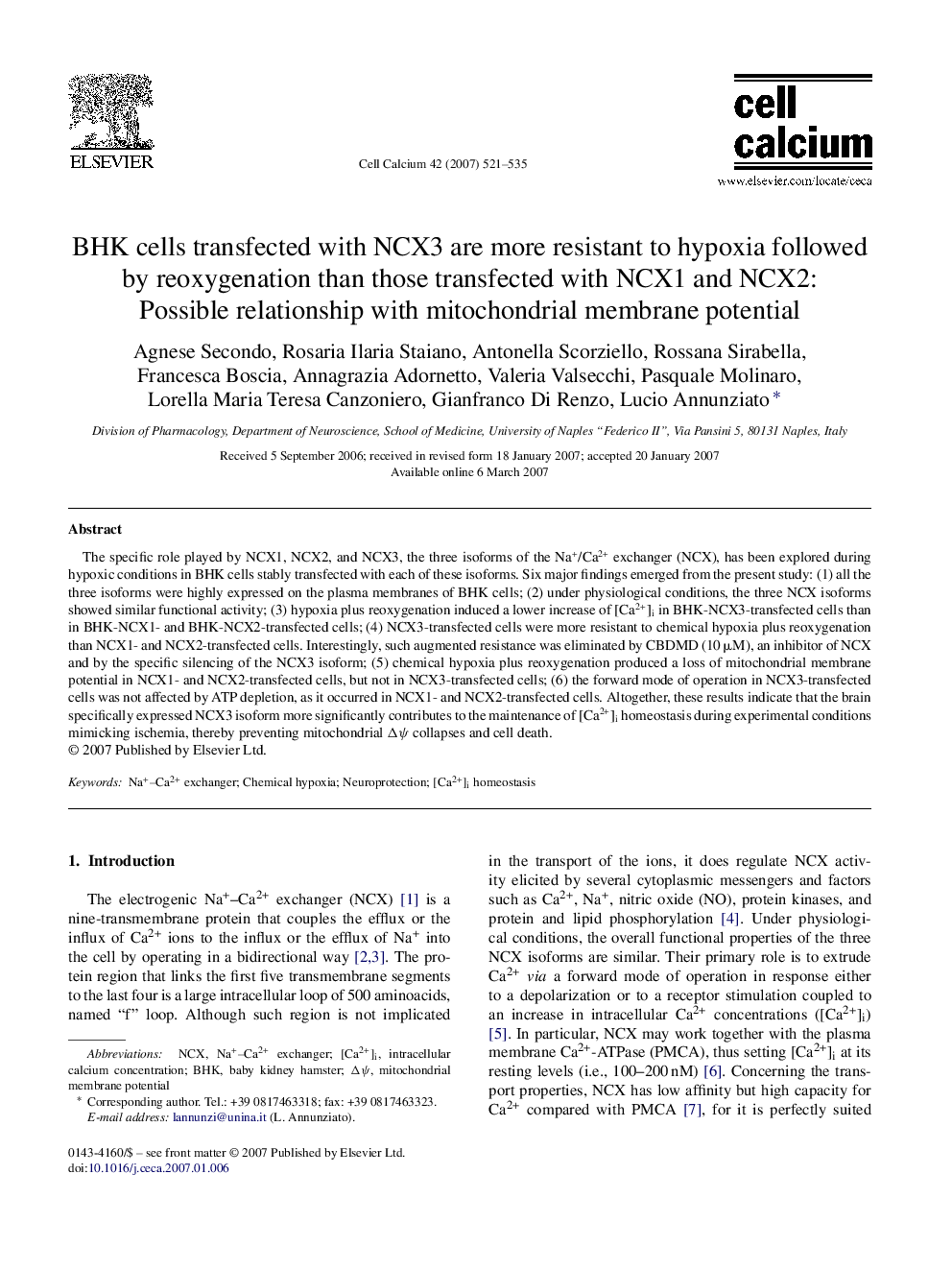 BHK cells transfected with NCX3 are more resistant to hypoxia followed by reoxygenation than those transfected with NCX1 and NCX2: Possible relationship with mitochondrial membrane potential