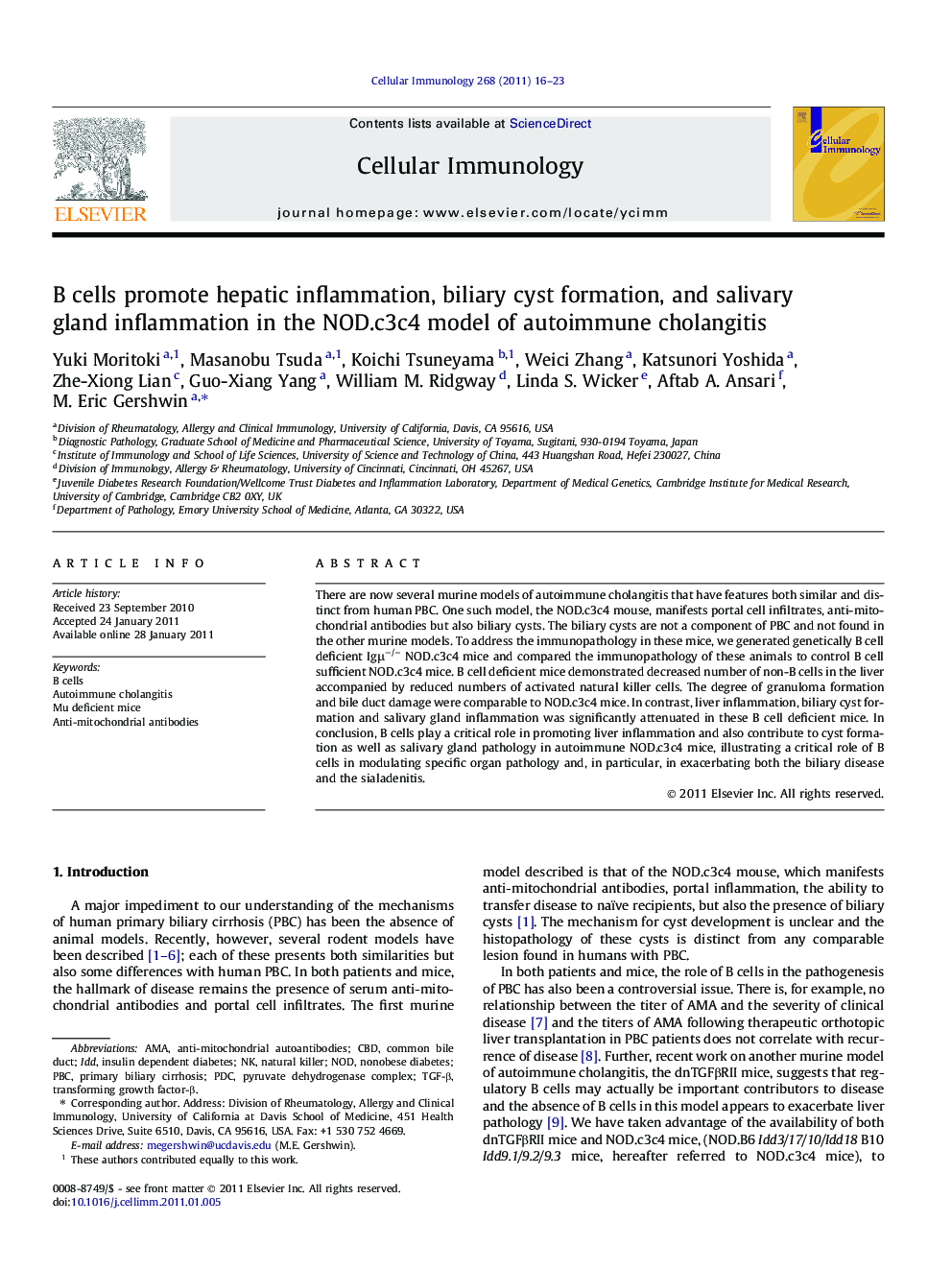 B cells promote hepatic inflammation, biliary cyst formation, and salivary gland inflammation in the NOD.c3c4 model of autoimmune cholangitis