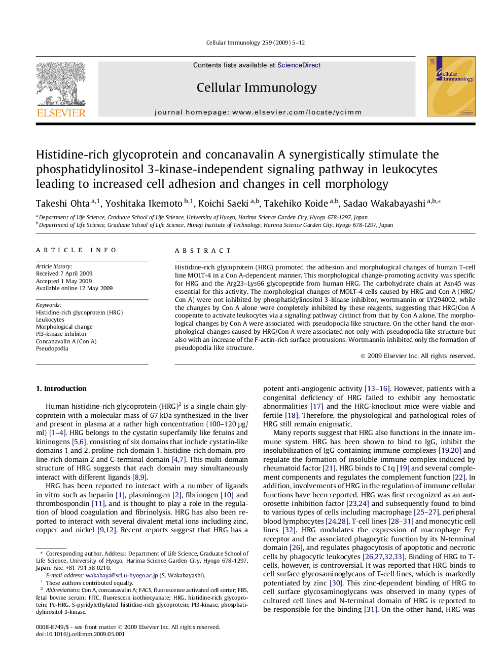 Histidine-rich glycoprotein and concanavalin A synergistically stimulate the phosphatidylinositol 3-kinase-independent signaling pathway in leukocytes leading to increased cell adhesion and changes in cell morphology