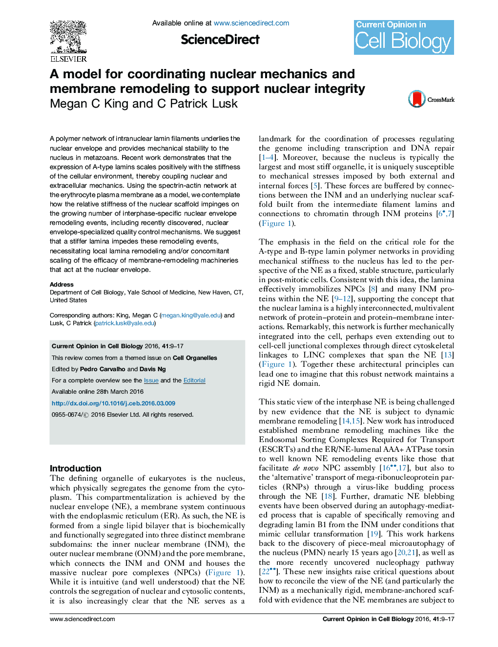 A model for coordinating nuclear mechanics and membrane remodeling to support nuclear integrity