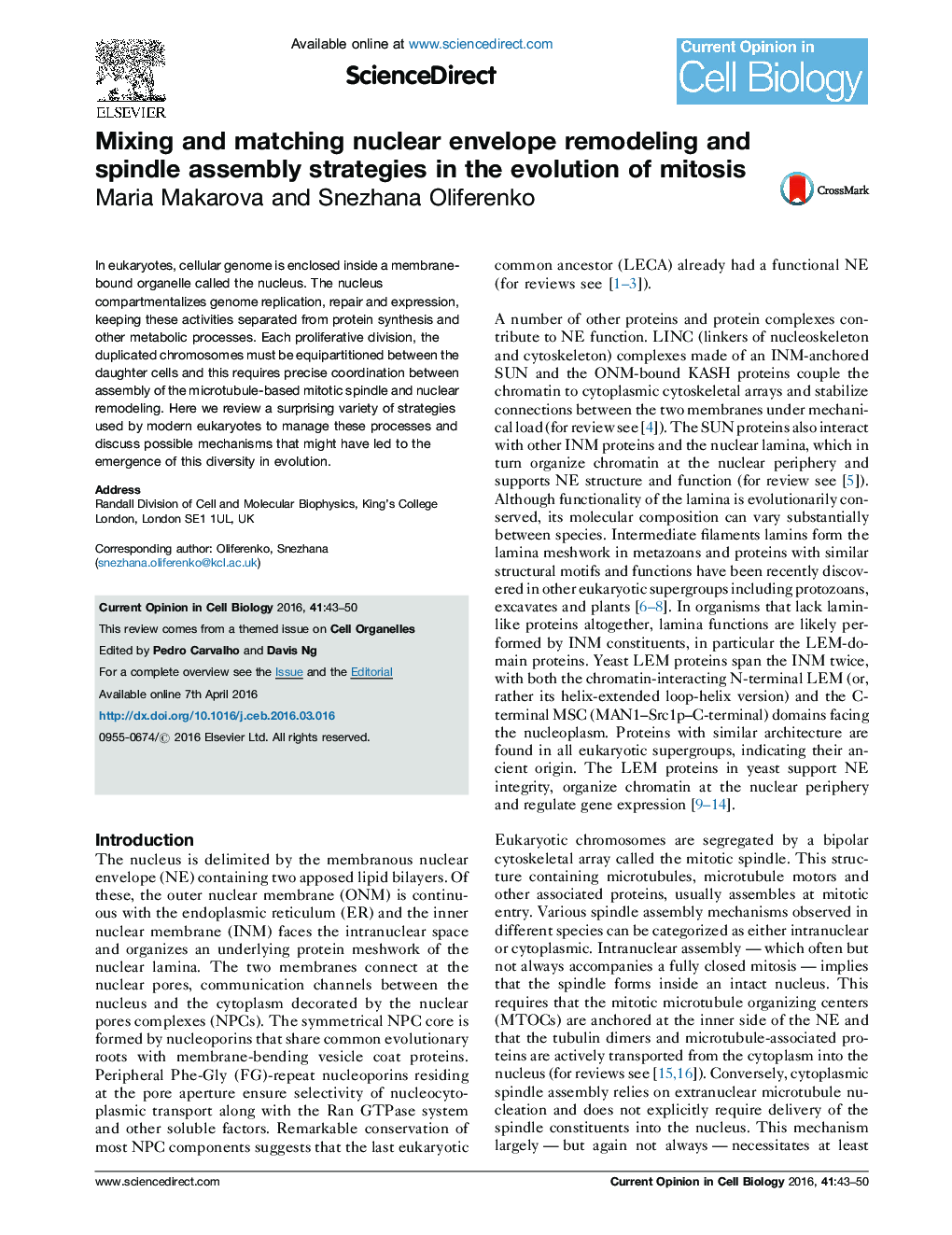 Mixing and matching nuclear envelope remodeling and spindle assembly strategies in the evolution of mitosis