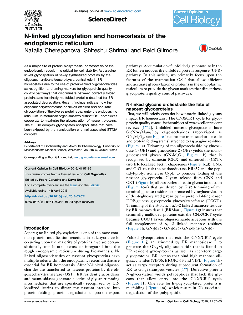 N-linked glycosylation and homeostasis of the endoplasmic reticulum