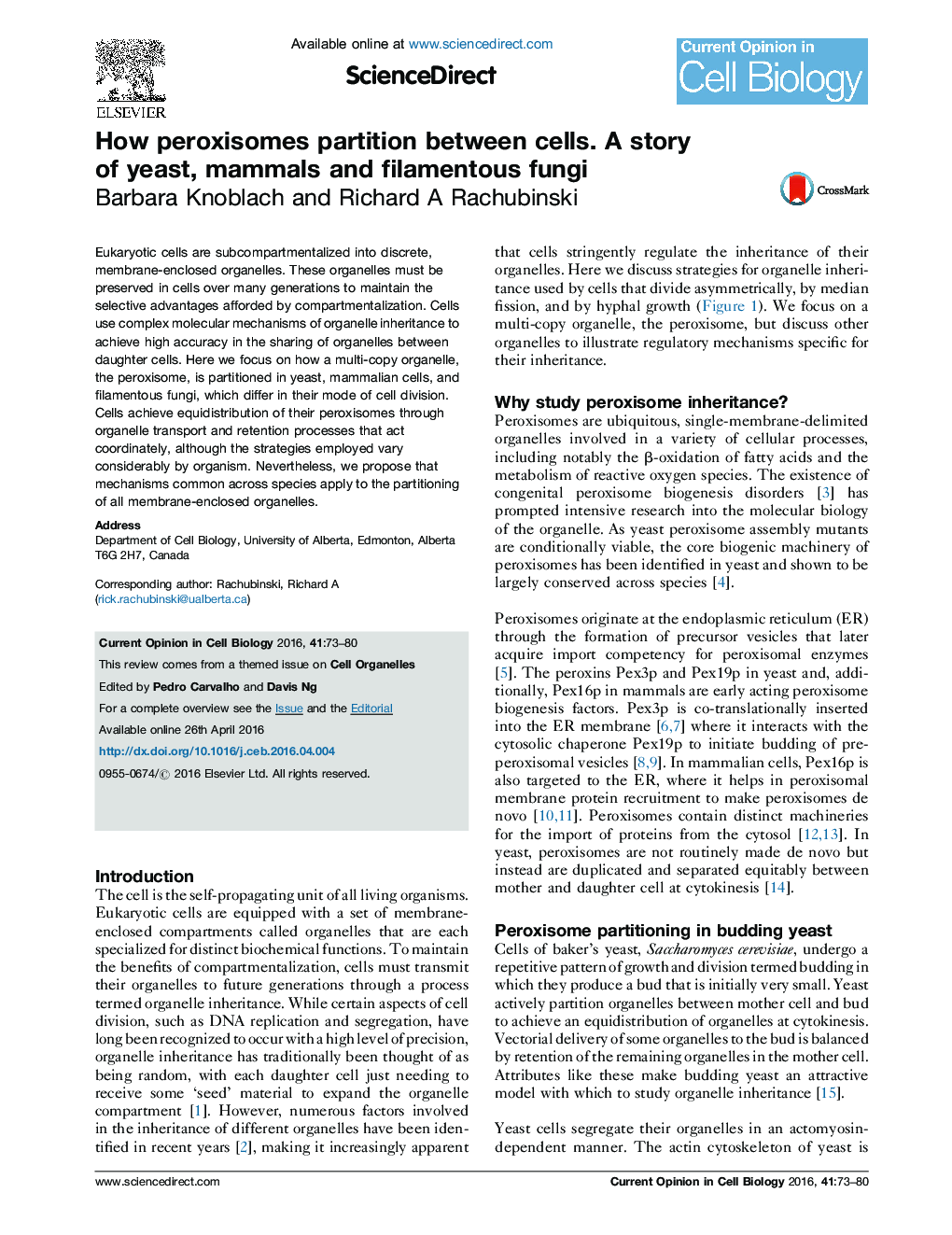 How peroxisomes partition between cells. A story of yeast, mammals and filamentous fungi