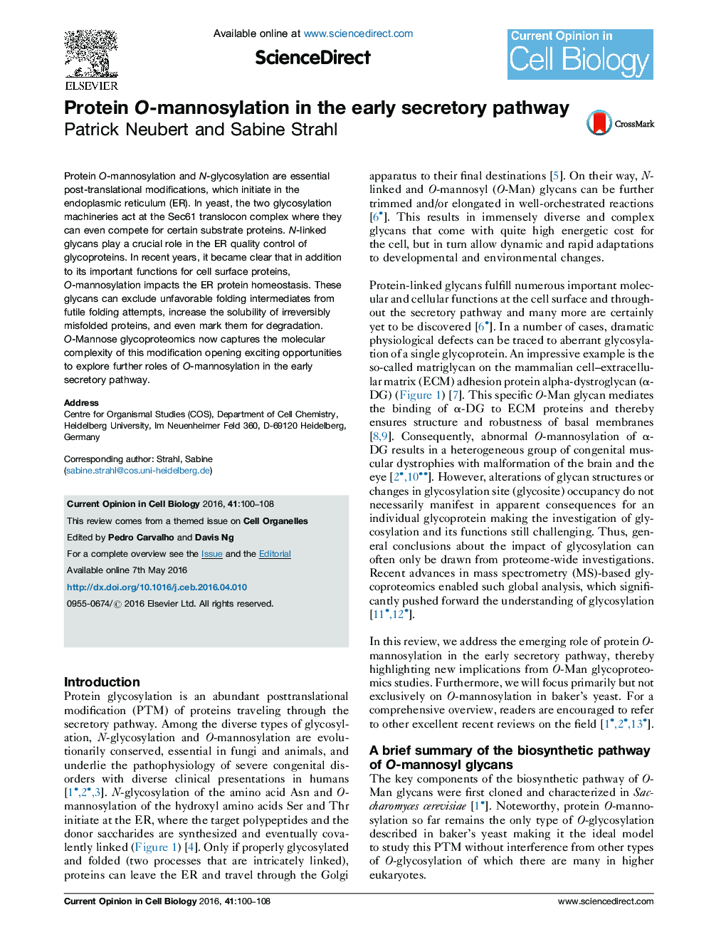 Protein O-mannosylation in the early secretory pathway