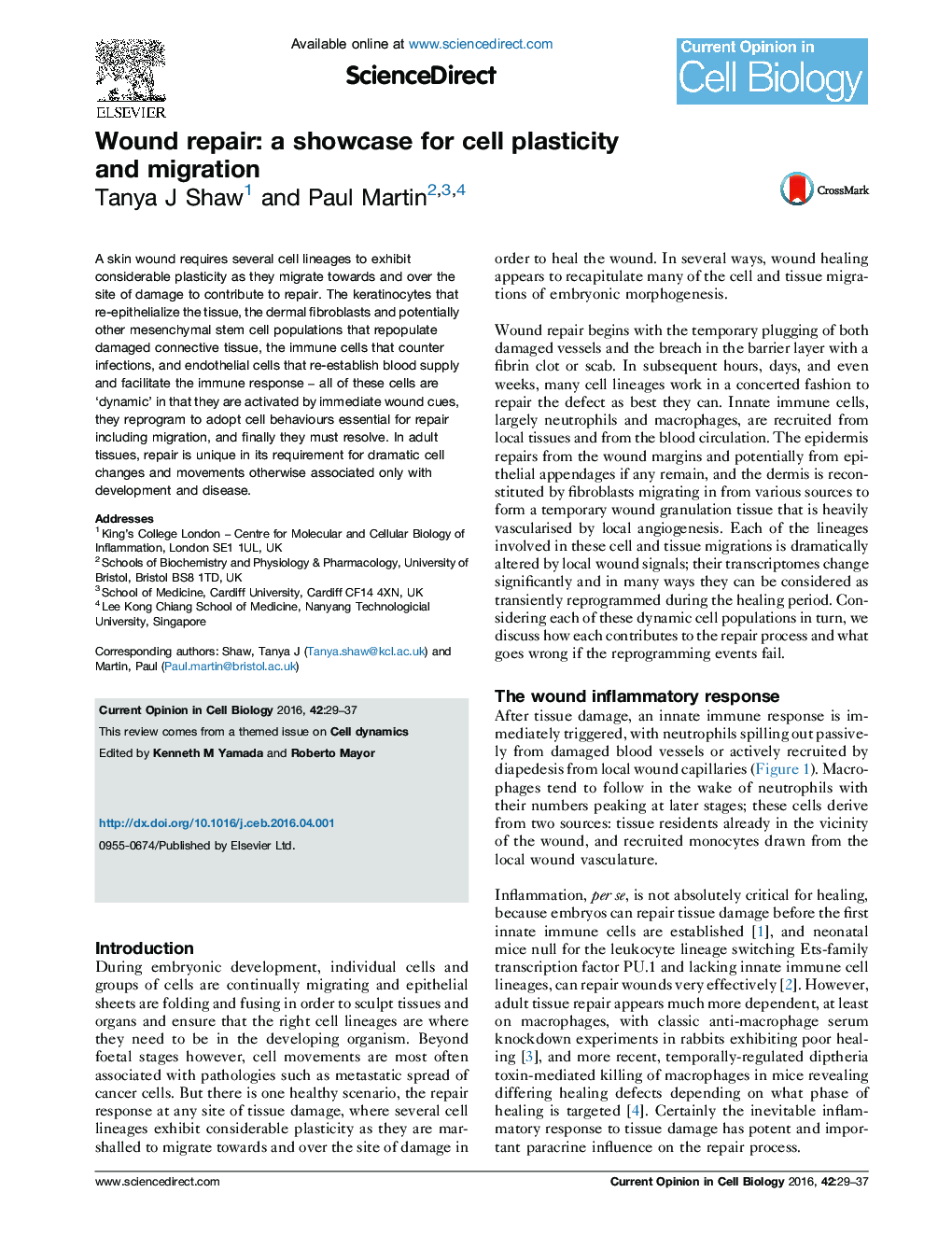 Wound repair: a showcase for cell plasticity and migration