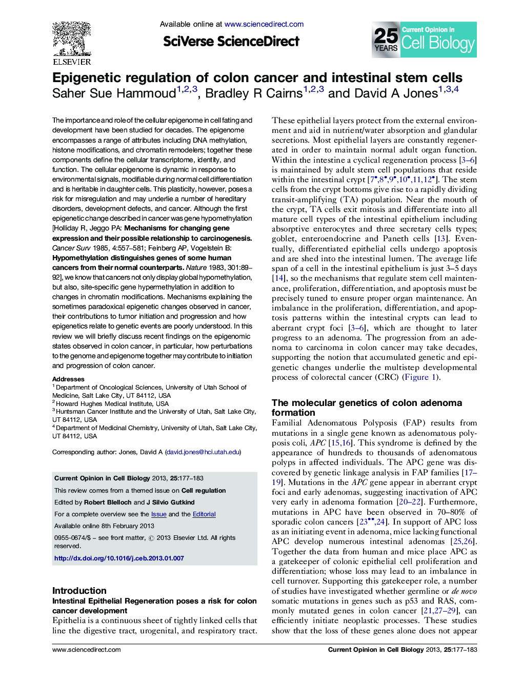 Epigenetic regulation of colon cancer and intestinal stem cells